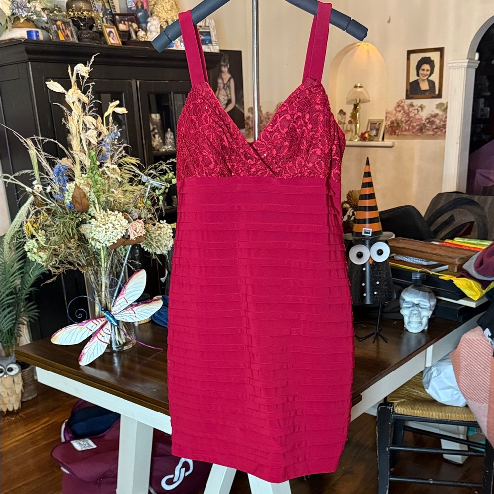 R&M Richards Vibrant Red Petite Dress